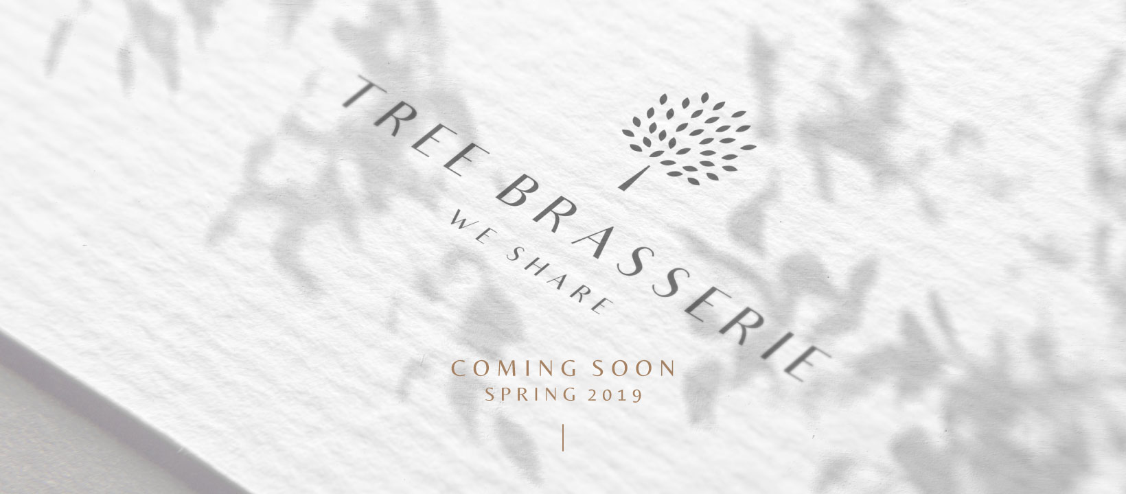 Esemdemì 10 Esemdemì | svg+xml;charset=utf