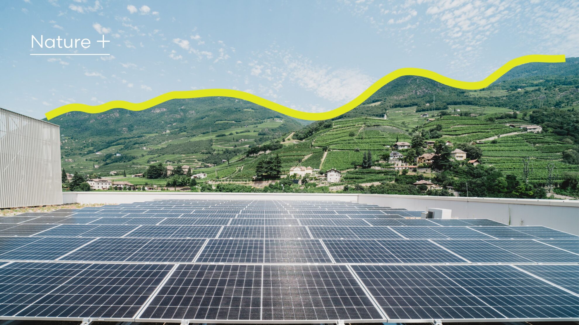 Gibitz 2 Gibitz | svg+xml;charset=utf